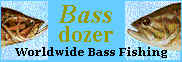 bassdozer.bmp (34030 bytes)